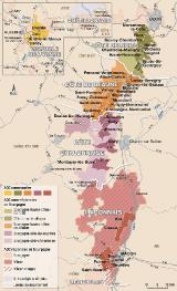 Bourgogne, Appellations, Vins